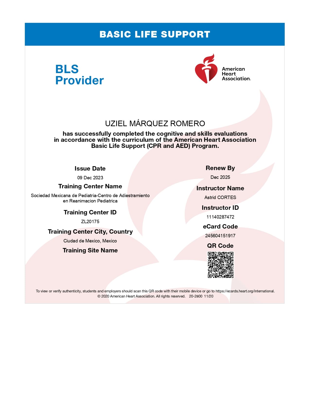 Student eCard BLS 2023